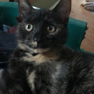 Meet your Posher, Kyleigh